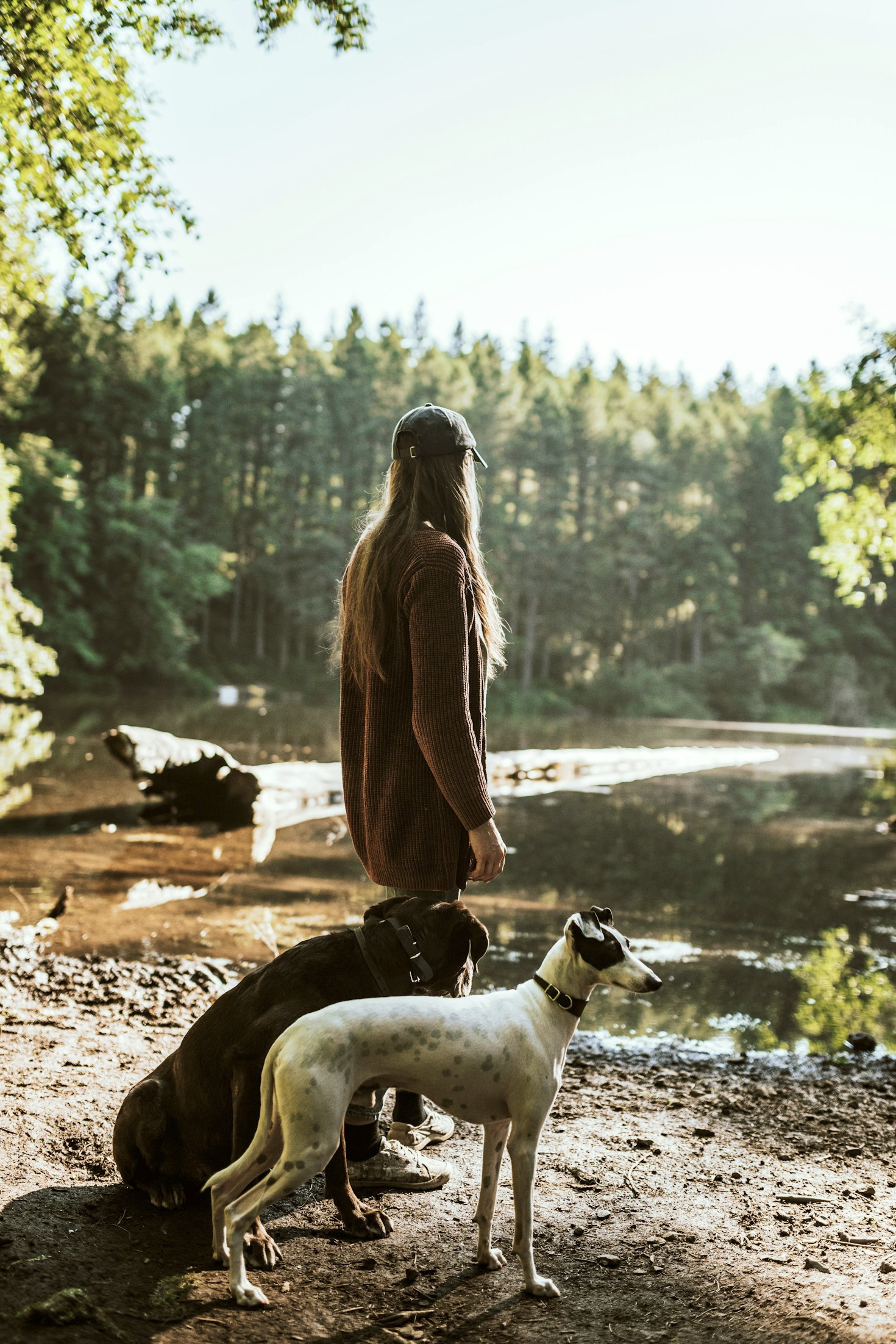 Die besten Tipps für den Alltag mit Hund